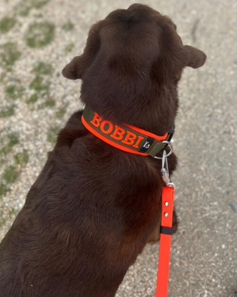 444.dogs専用 NeoCool™ No Pull Dog Harness w/ Handle – Cool Year-Round