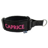 Axdvk Martingale halsband voor honden, kleurrijk kleurverloop Axdvk Martingale halsband voor honden, kleurrijk kleurverloop