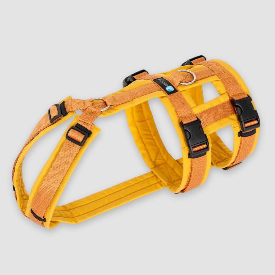 Escape Proof Dog Harness SAFETY Amber AnnyX