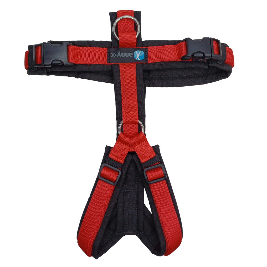 Second-hand Anny X Harnesses | Cleaned & Checked by 4Kyon