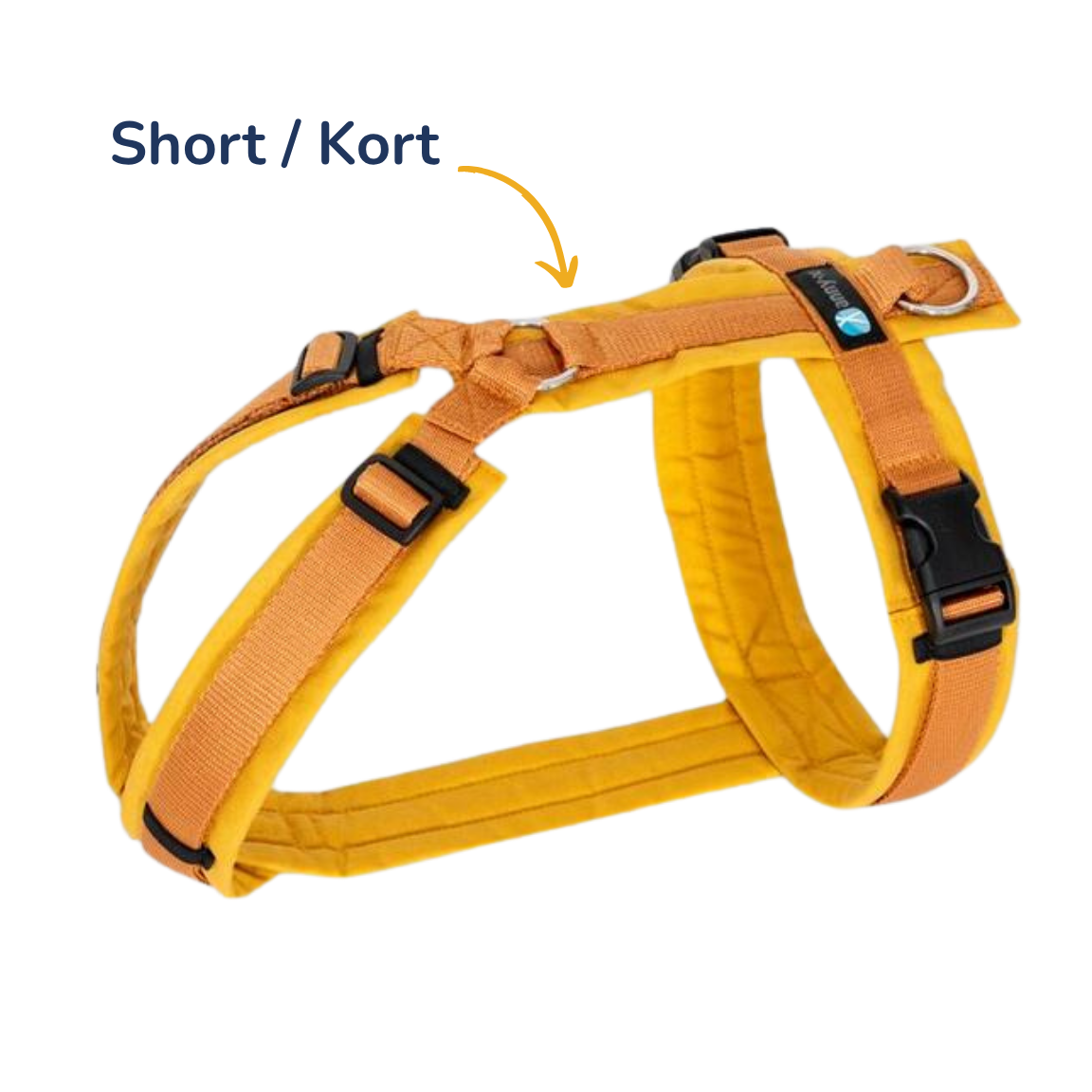 Anny X FUN Short Back Harness Amber | Comfortable Fit – 4Kyon