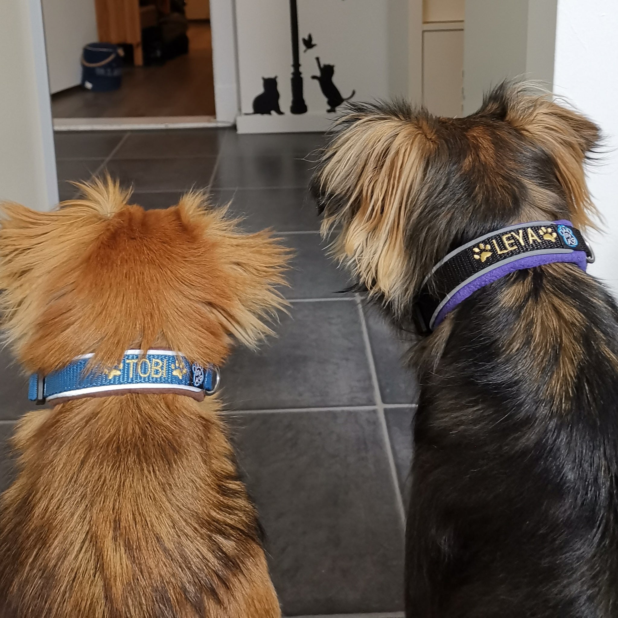Reflecterende Apple AirTag Halsband voor Honden Reflecterende Apple AirTag Halsband voor Honden