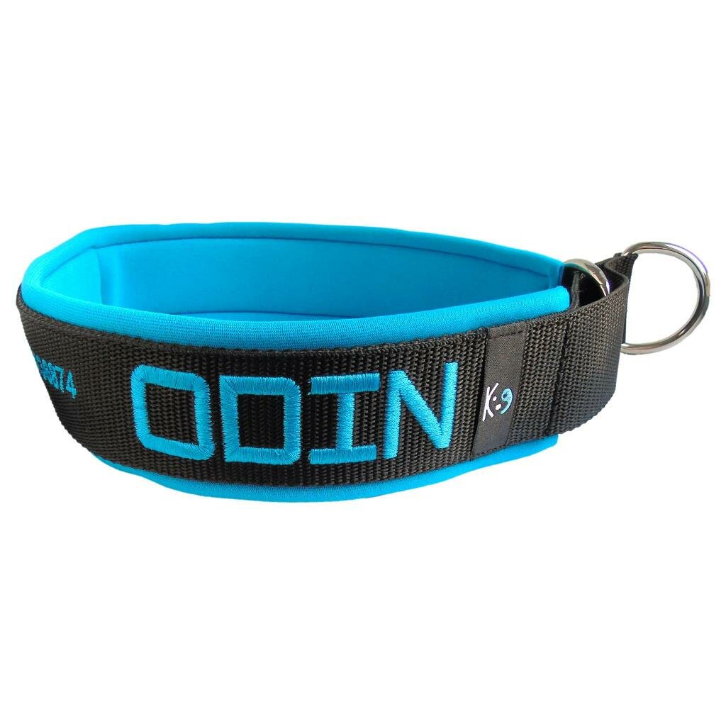 Odin Custom Large Dog Collars Personalised Limited Slip Collars