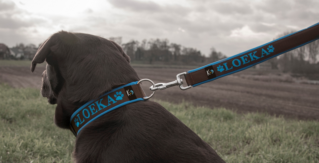 Personalised Dog collar and lead with embroidered name in the UK