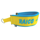 Neopreen Martingale halsband met naam - S/M | 4Kyon